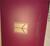 1991 Oldsmobile Advance Ordering Information For Fleet Managers Only