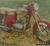 1955 Jawa 350 broschyr