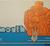1971 Plymouth Fury Operator's Manual